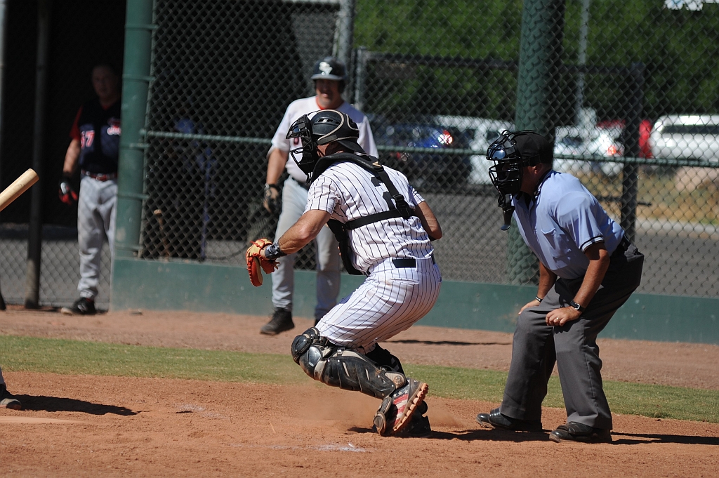 Seals_2019-10-09 (322).JPG - (c)2010 DeVetter